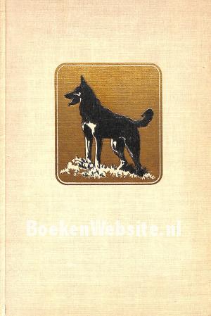 Xingoe, de hond Xingoe, de hond