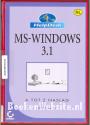 MS-Windows 3.1