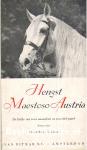 Hengst Maestoso Austria