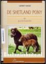 De Shetland pony als gezelschapsdier