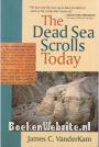 The Dead Sea Scrolls Today