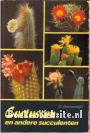 Cactussen en andere succulenten