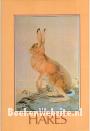 Hares