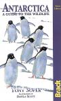 Antartica a Guide to the Wildlife