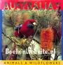 Australia's Animals & Wildflowers