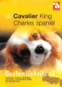 De Cavalier King Charles spaniël