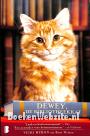 Dewey de bibliotheekkat