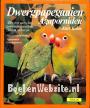 Dwerg-papegaaien / Agaporniden