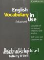 English Vocabulary in Use, Advanced