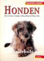 Honden