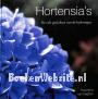 Hortensia's