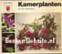 Kamerplanten en hun verzorging