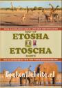 Map of Etosha