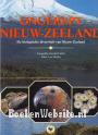 Ongerept Nieuw Zeeland