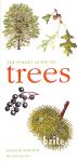 The Pocket Guide to Trees