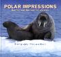 Polar Impressions
