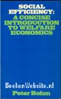 Social Efficiency