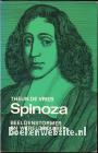 Spinoza, beeldenstormer en wereldbouwer