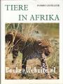 Tiere in Afrika