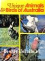 Unique Animals & Birds of Australia