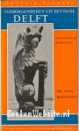 Verborgenheden uit het oude Delft