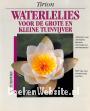 Waterlelies voor de grote en kleine tuinvijver