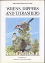 Wrens, Dippers and Thrashers