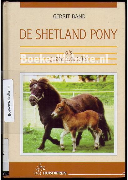 De Shetland pony als gezelschapsdier