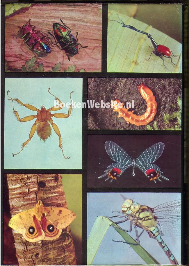 De grote encyclopedie der insekten